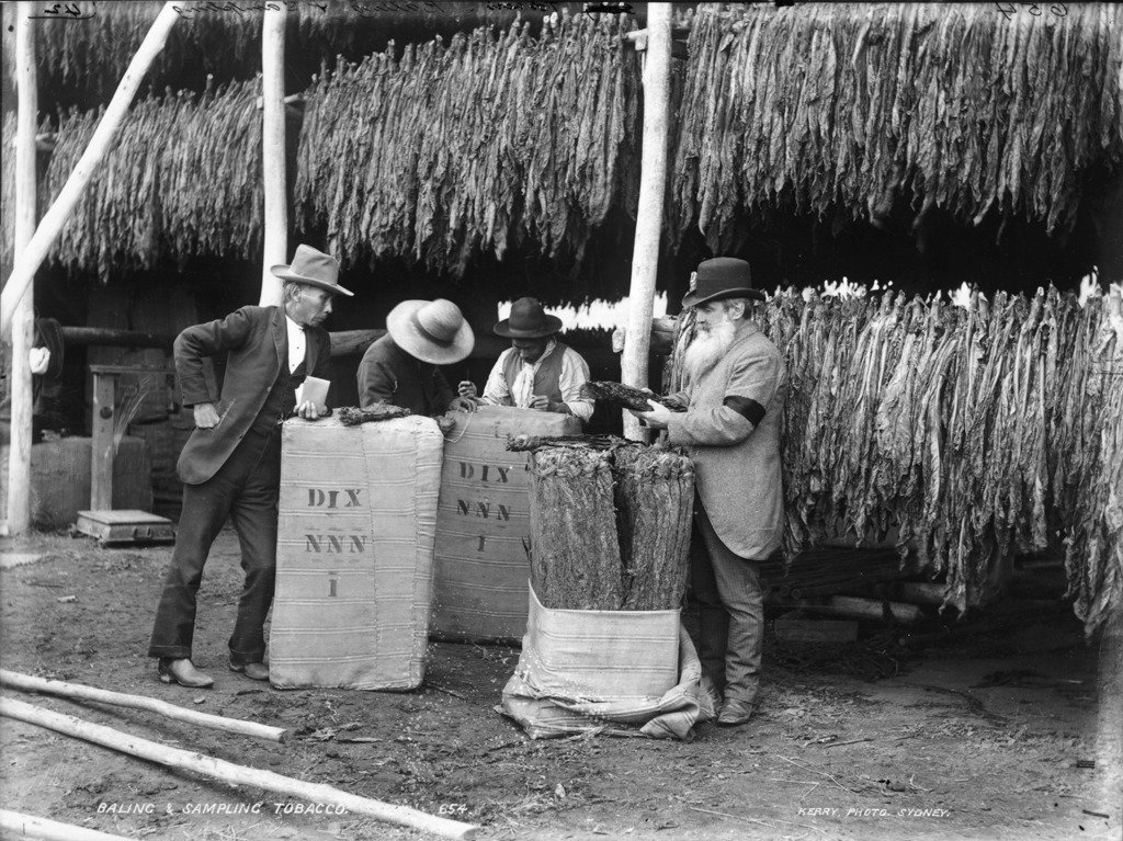 Baling and sampling tobacco #newoldstock