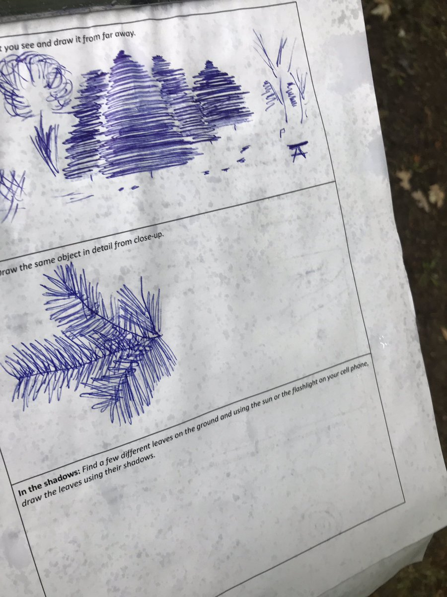 nmfarrugia's tweet image. Wrapped up the first half of the #ocsboutdoors conference with #MathTrails and @CanGeoEdu. Learning about the age of a tree, bi-lateral symmetry and perspective. @OCSBeco