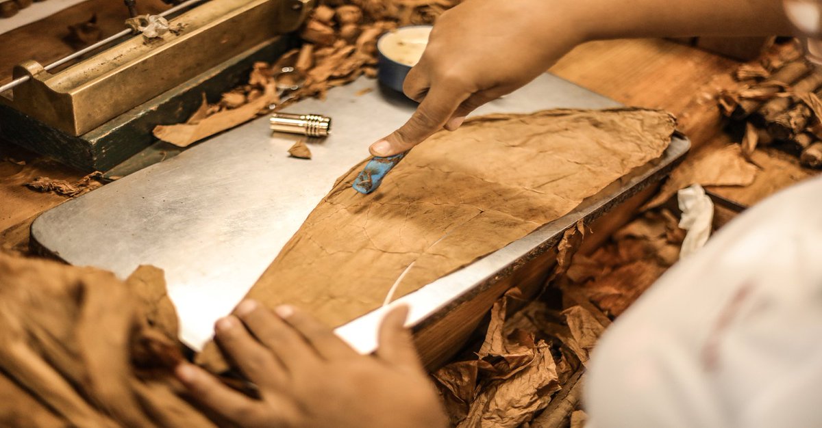 adventuresdr's tweet photo. Did you know that the Dominican Republic is home to “THE LARGEST PREMIUM HANDMADE CIGAR FACTORY IN THE WORLD” ?
Join us on our Cigar Aficionado Experience designed thinking on the truly cigar lovers.
#dominicancigars #handmadecigars #thingstodopuntacana #OutbackadventuresDR https://t.co/5kOmYX0Fmi