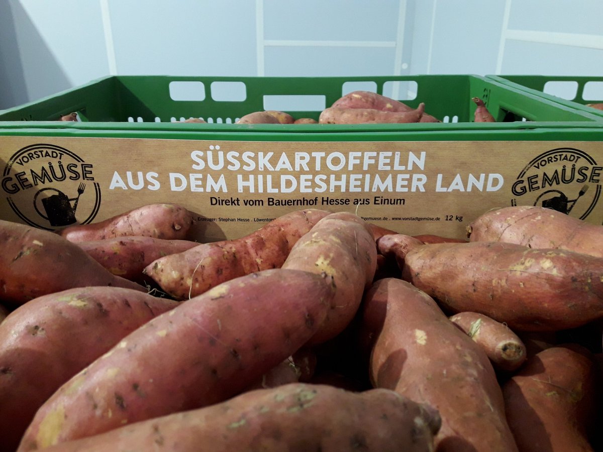 Stephan Hesse Die Ersten Regionalen Susskartoffeln Der Saison Ab Nachster Woche Wieder In Rewe Und Edeka Supermarkten In Niedersachsen Susskartoffel Regional Niedersachsen Vorstadtgemuse Rewe Edeka T Co Xxxoofrzxs