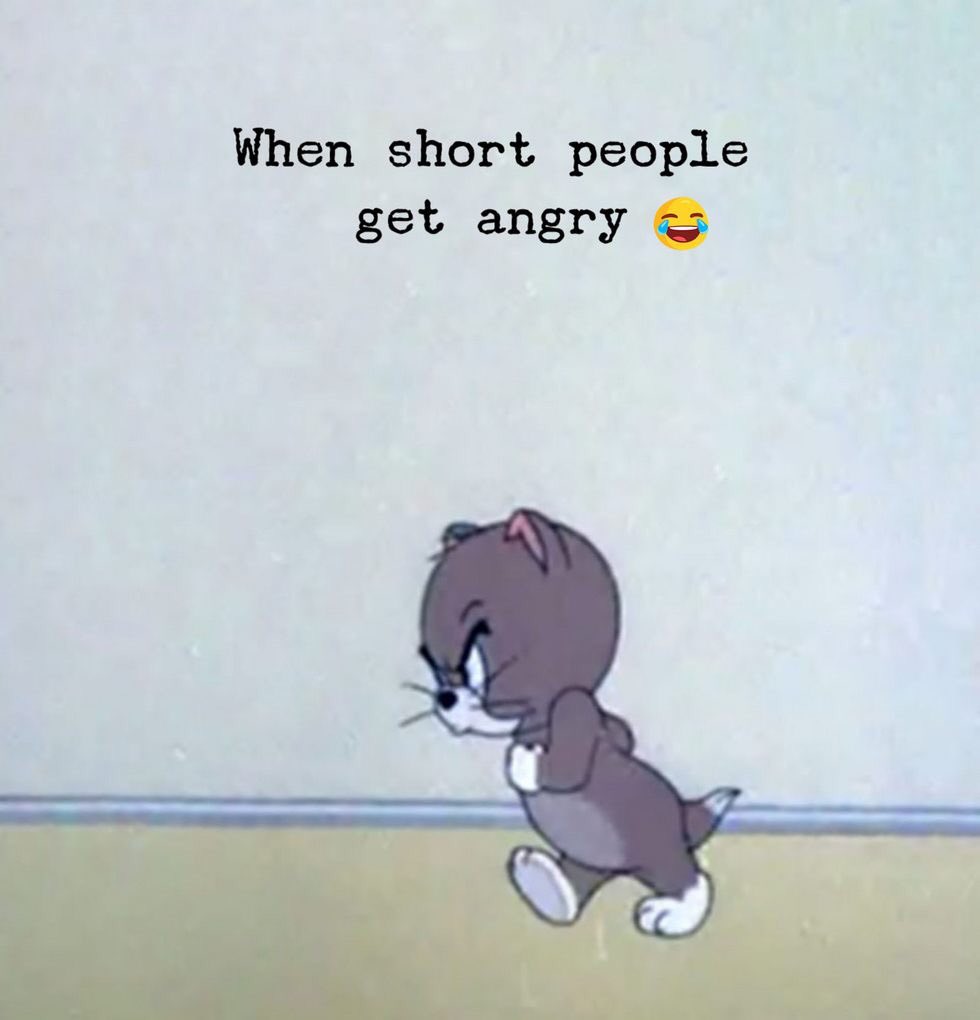 perthbelle's tweet photo. Pmsl https://t.co/D8gsHy3CGG