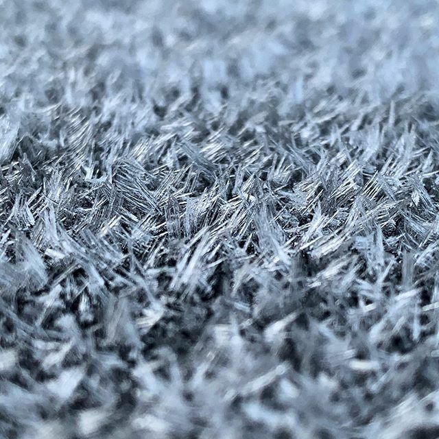 thetheronstudio's tweet photo. It might look like one thing but is another.
.
.
.
.
.
.
.
.
.
#frost #naturephotography #alaska #september #strange #macrophotography https://t.co/lypjxl4uY2
