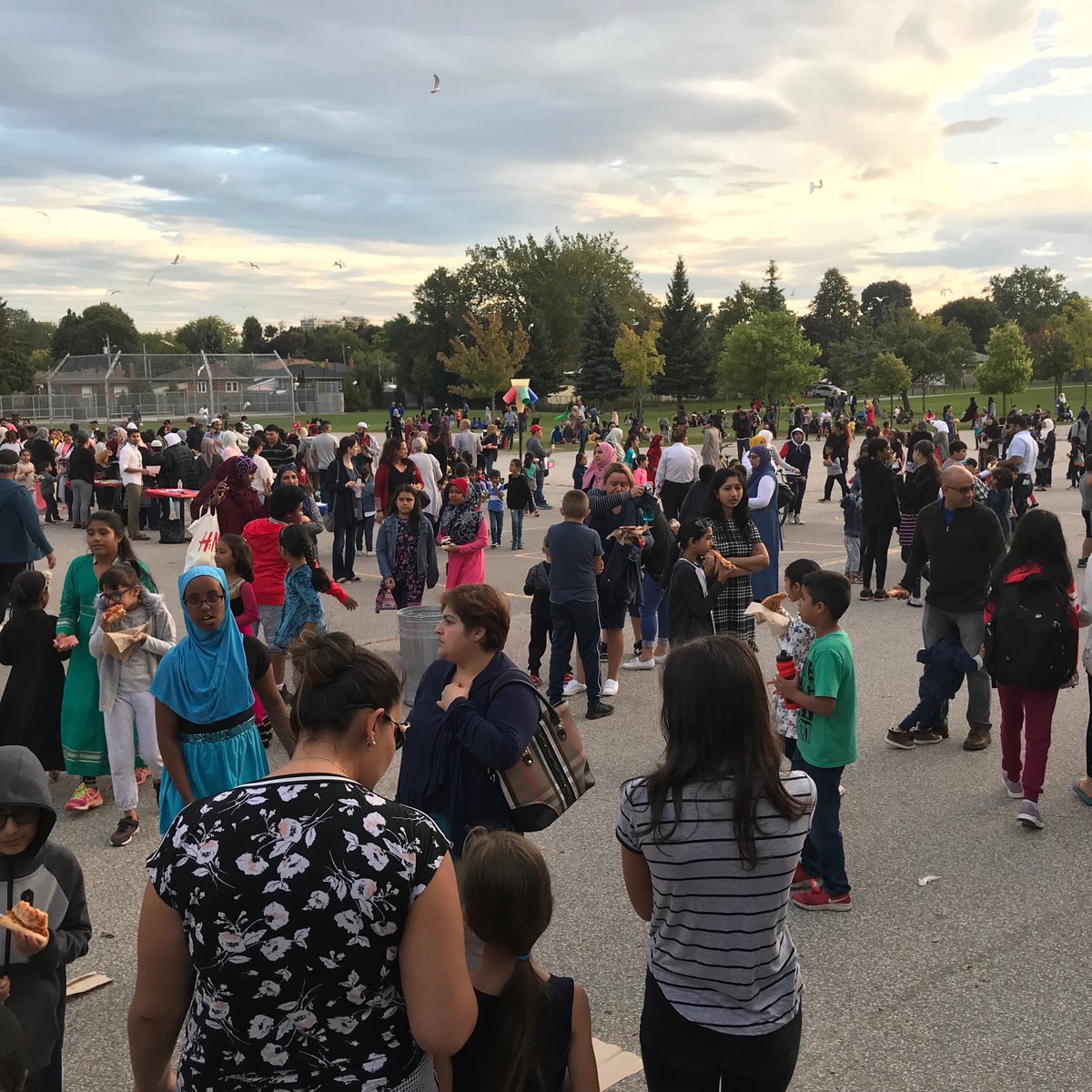 Cornell Jr PS tweet media