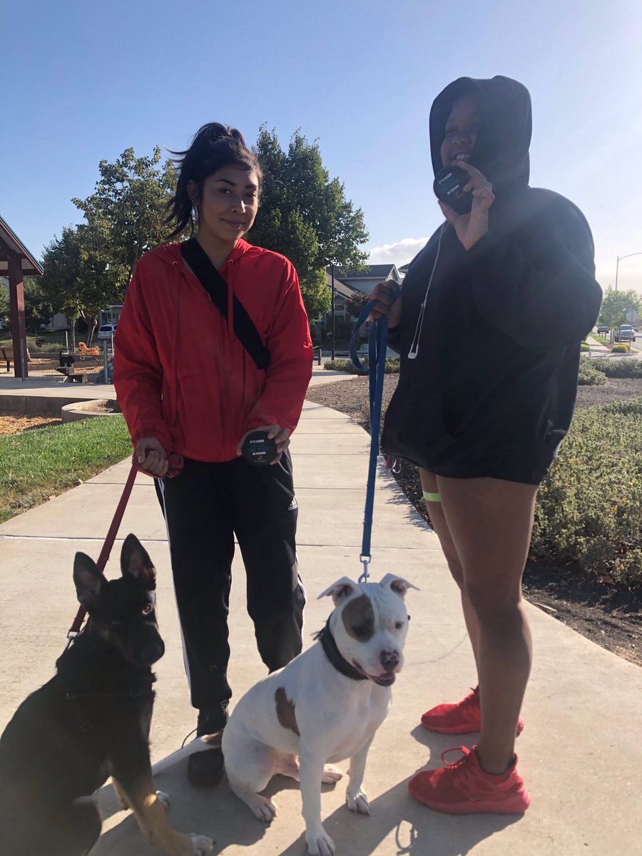 SanJoseSharks's tweet photo. We didn’t make it a requirement that you had to bring your dog to #SeeThePuck.
But we have no complaints. 😂 https://t.co/OO1uv1jk6x