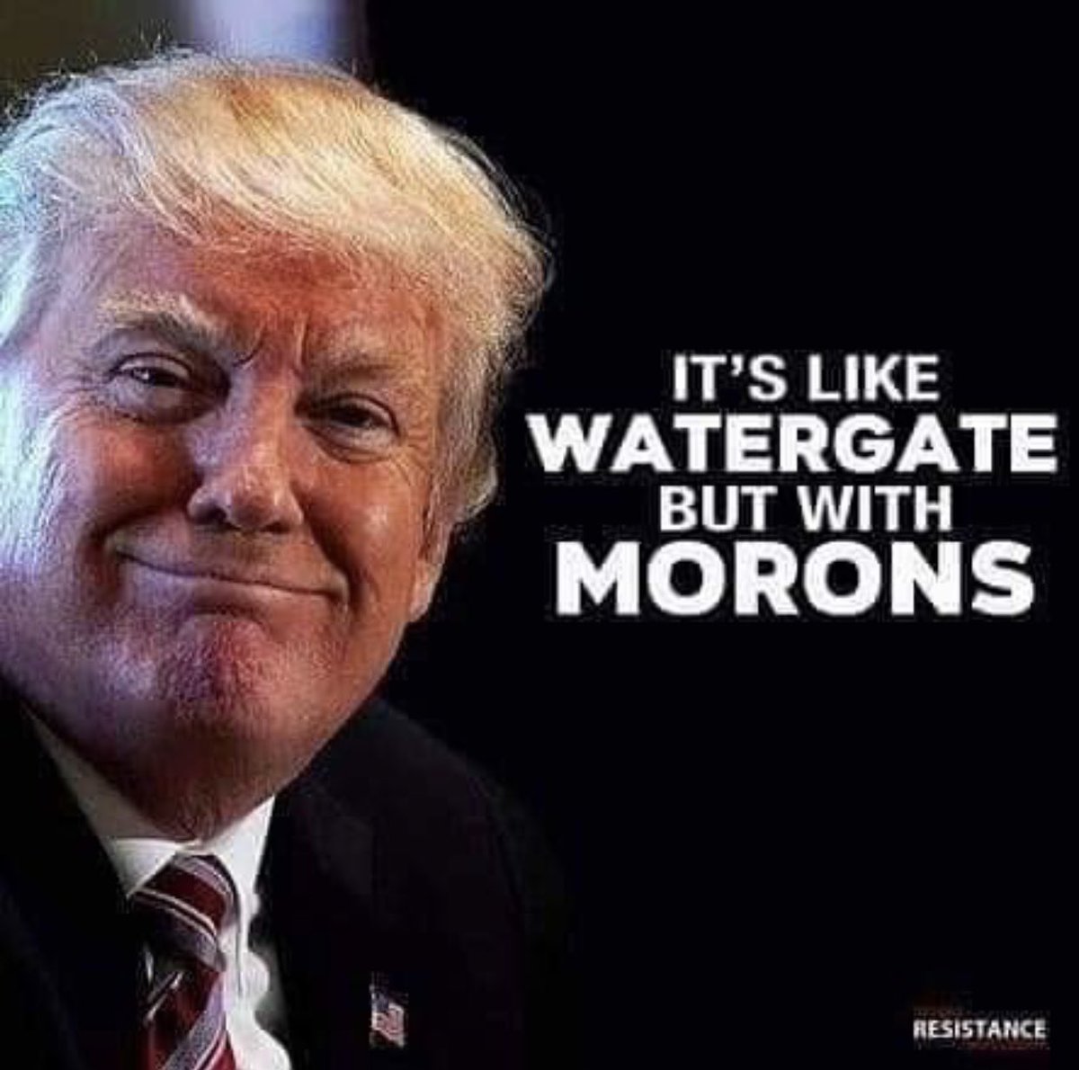 ROSIE (@rosie) on Twitter photo 