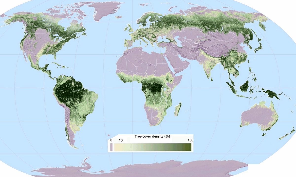 Cmdr_Hadfield's tweet image. Where our trees grow. 

(more info here: ourworldindata.org/forests)