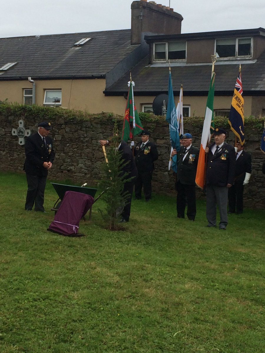 cobhanimationteam (@cobhanimation) on Twitter photo 