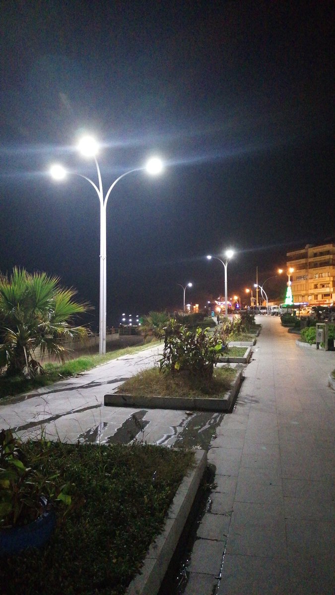 Miran Miray (@miranmiray) on Twitter photo 