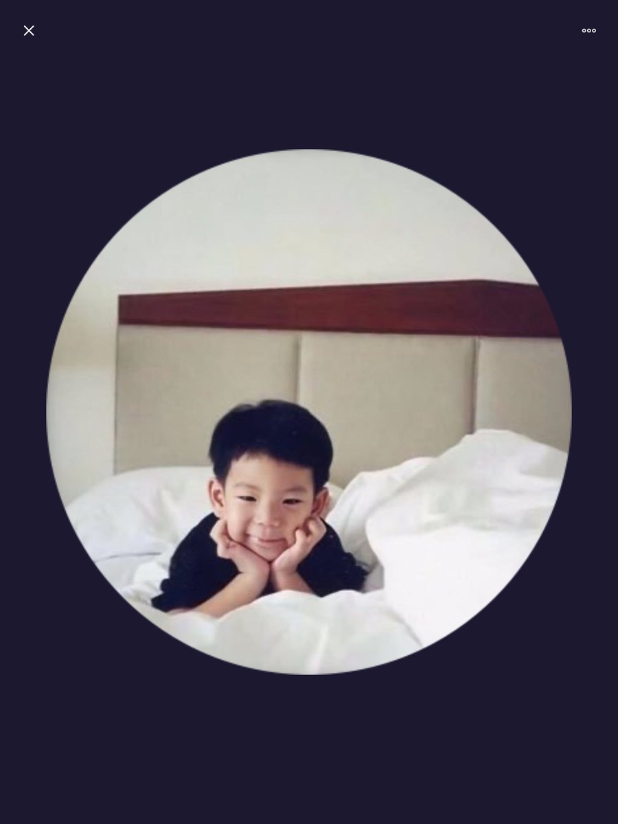 แมว tweet media