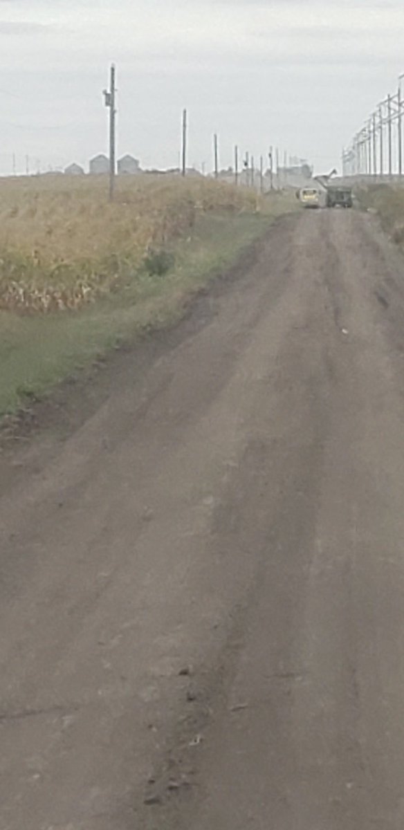 Country Road Traffic Jam! Pioneer to the left Pioneer to the right! #harvest19 #rollon #justsharing <a href="/PioneerSeeds/">Pioneer Seeds U.S.</a>