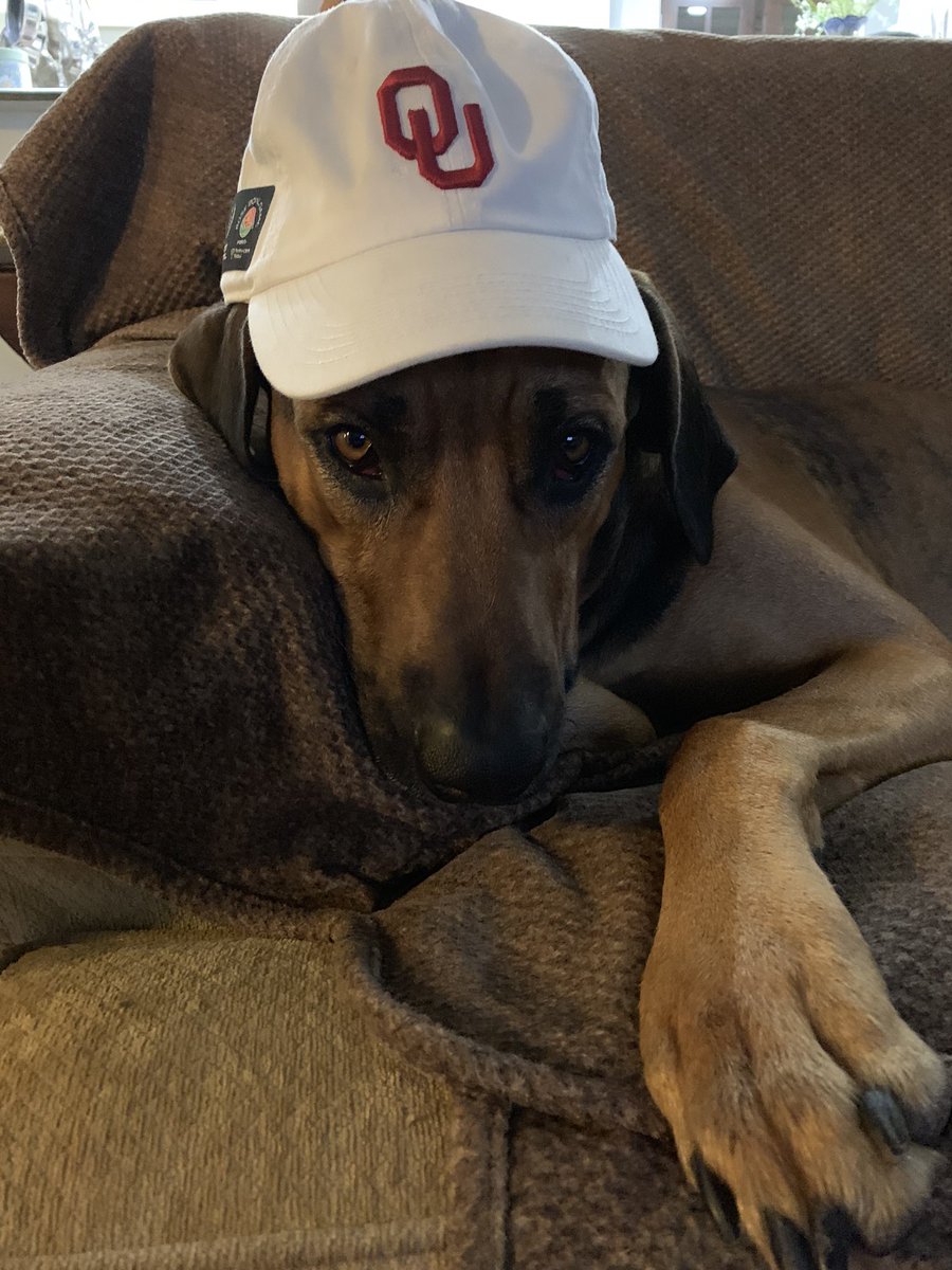 OU_Jedi's tweet photo. waiting for the W #BoomerSooner https://t.co/n6QMtE4NWR