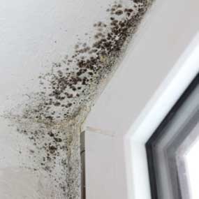 Seasonal allergy sufferers, here’s how to fight back against common allergens this fall. bit.ly/2kEFJDK  #fallallergies #allergyseason