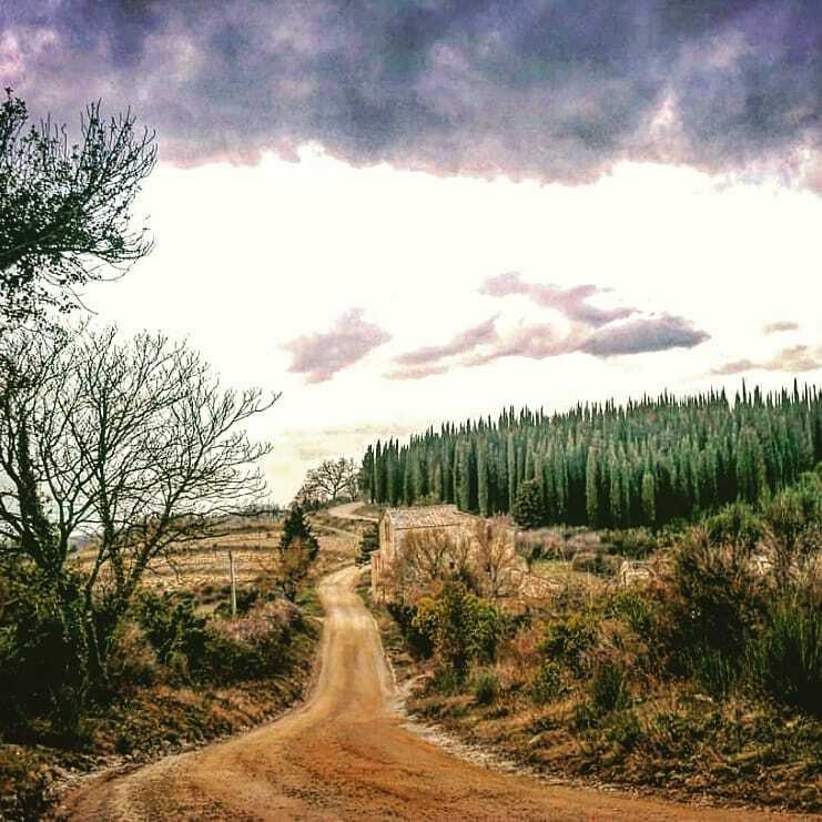 We ♥️ Nature Colors 🍂🌲🍁🌳 . #chianti #natura #discovertuscany #chiantilife #visititaly #toscana #tuscany #campagnasenese #nature #chiantishire #instatuscany #madeintuscany #ig_toscana #paesaggitoscani #siena #landscapes #discovery #landscape_captures #winepassion #tra…