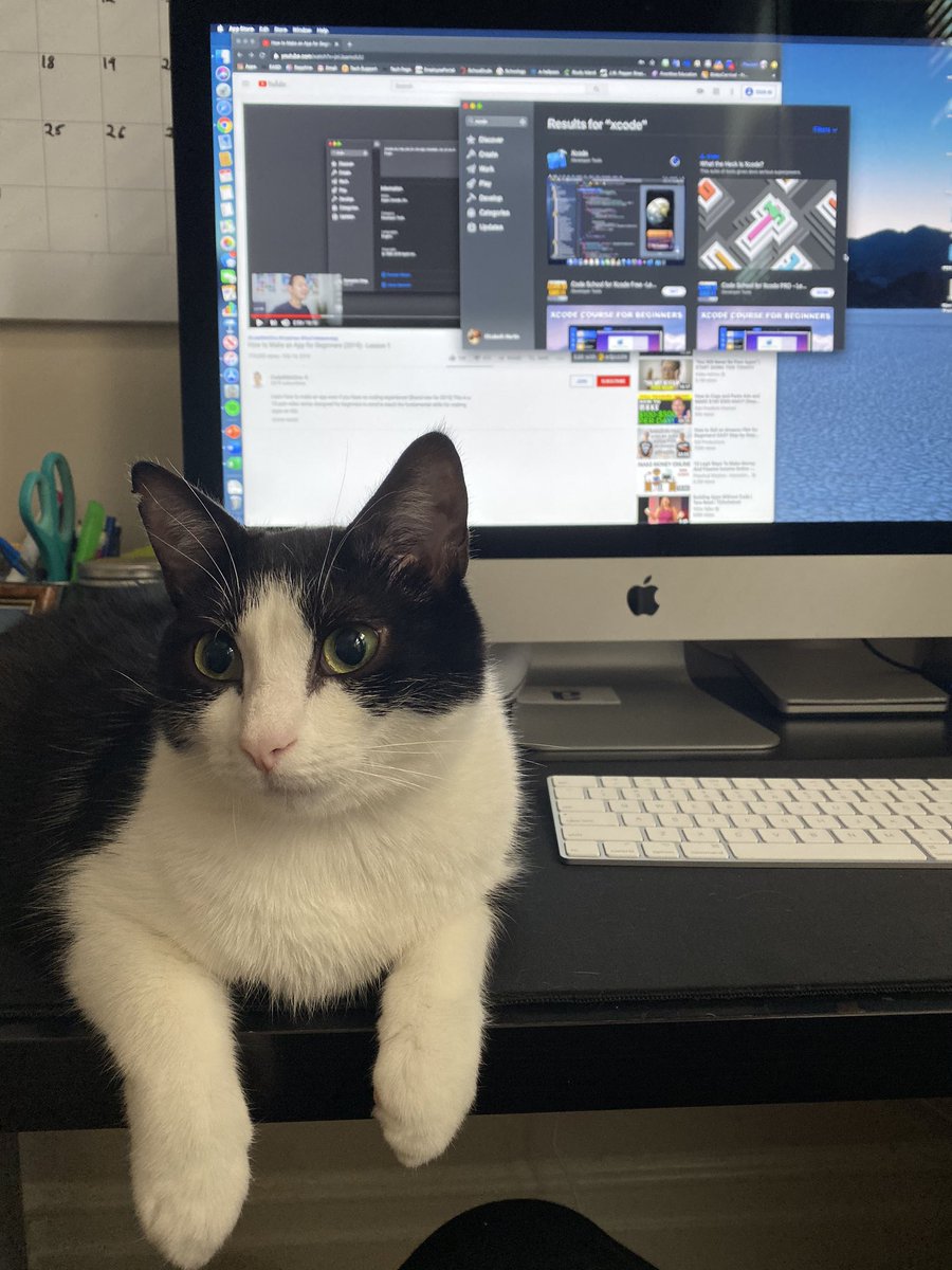 mrspeters_band's tweet photo. My buddy is helping me learn to code today and give app building a try! #iwillneedhelp #ifyoureoffering https://t.co/ImDorH34px
