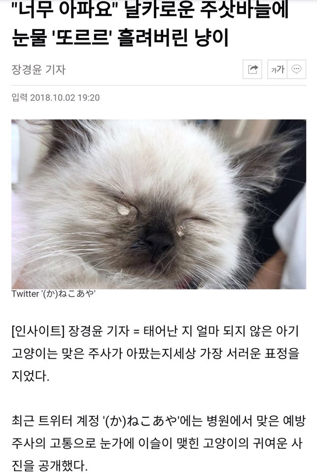 DG_SilverStar's tweet photo. 내가좋아하는 동물짤들 타래로 https://t.co/cuytf78m6j