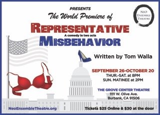 Representative Misbehavior is running now! Tix available at neoensembletheatre.org #LosAngelesTheatre #NeoEnsembleTheatre #Burbank