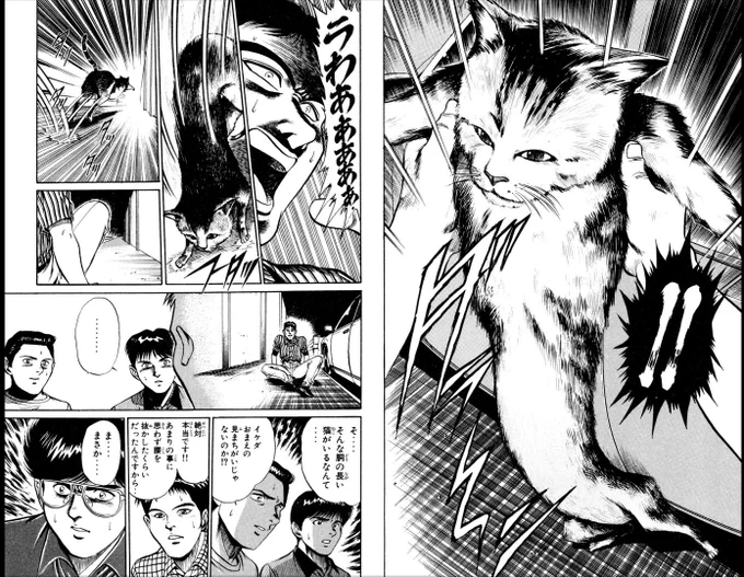 今Kindle版0円のMMR3巻P.132。「猫は伸びる」(人間の感覚からすると気持ち悪いくらいには)という常識がネットで伝わってない時代。この程度のネタを根拠に、
「遺伝子操作でヒットラーが!」
「ゴルバチョフはクローン!?」
「ピラミッドに全部書いてある!」
とか。今は無理。
https://t.co/hfz1m0ahMc 