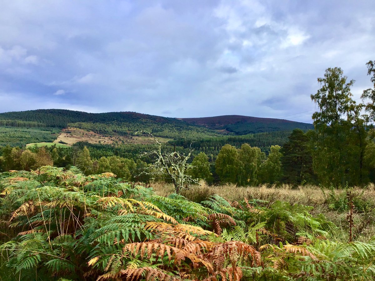 Today, Glen Tanar💙 #walking #hiking #GlenTanar #Aberdeenshire #Autumn #visitABDN