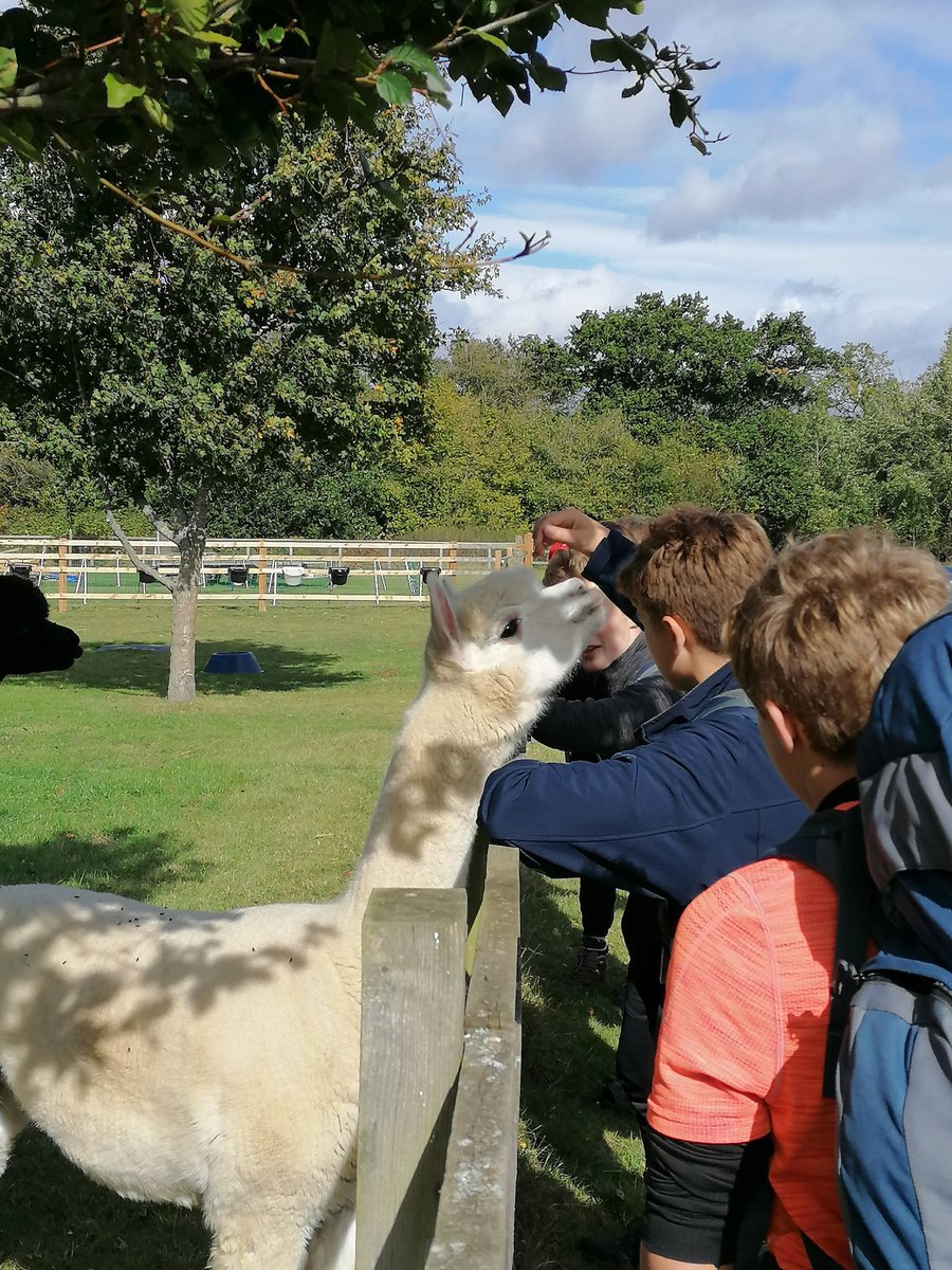 DofE | Lord Wandsworth College tweet media