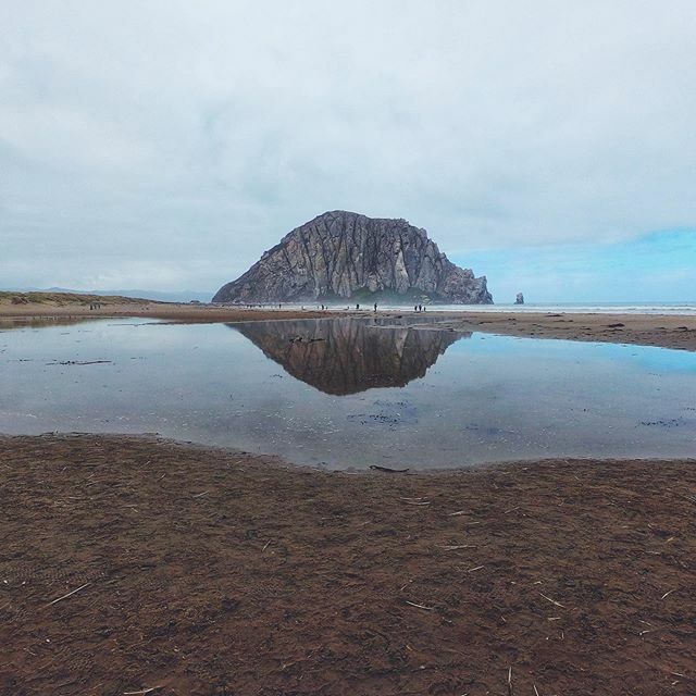 dustinwise's tweet photo. #30daysofdawn DAY 5. Not quite dawn but still getting it while the gettins gettable. https://t.co/KOtasIAFzO https://t.co/91FOnCluCp