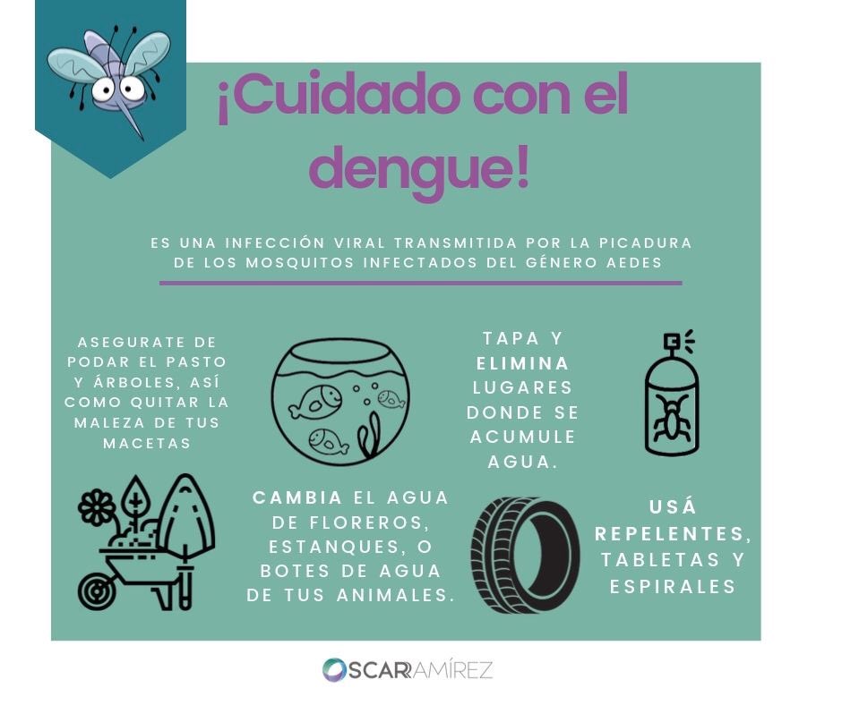 Oscaramirezca's tweet photo. Te comparto algunas recomendaciones para que #cuides a tu familia del #dengue.
Es importante el apoyo de ustedes, los invitó a sumarse a estas #estrategias de #prevención y #acción. https://t.co/81uxgVQZ10