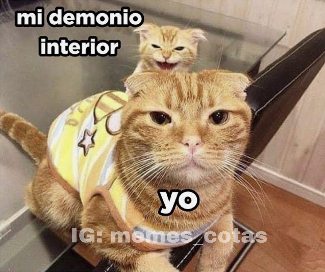 Un meme de persona, pa' que la gente se sienta más tranquila : r/PERSoNA, image size:1125x943