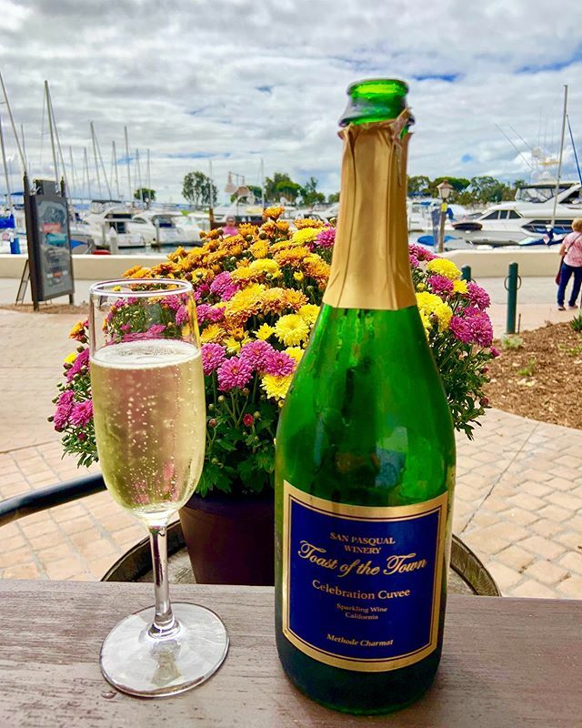 It’s a beautiful day down in Seaport Village @sanpasqualwinery 🍾🥂🌞🛥⚓️🍷❤️
Come celebrate with us and enjoy some bubbly! 🍾🥂 #sanpasqualwinery #SPWSV #seaportvillage #seaportvillagesd #seaportvillagesandiego #sdurbanwinery #sdurbanwineries #keepitlo… ift.tt/2mG9rKh