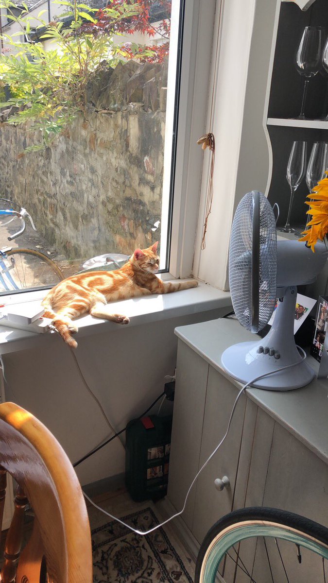 Coral Kennerley tweet media