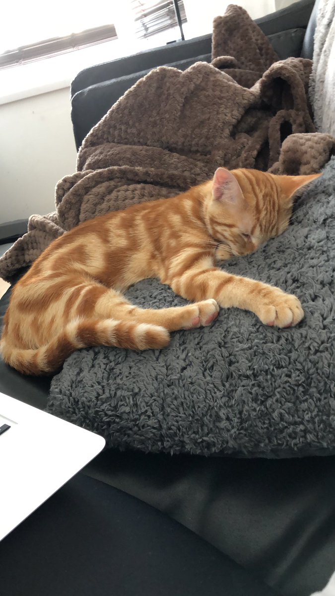 Coral Kennerley tweet media