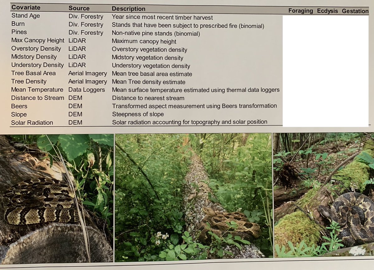 TimberTweets's tweet image. We are headed to #TWS2019 tomorrow! Here is a peak at our poster. These are covariates used in models to predict snake condition/behavior based on various habitat measures. What kind of habitat do you think they like to hunt or shed in? #SciComm