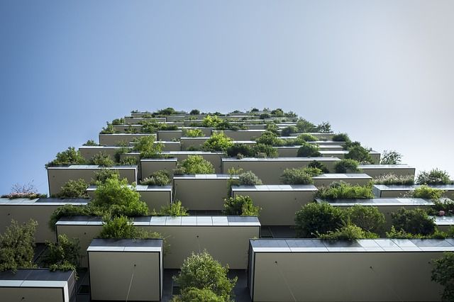 verticalgrower's tweet photo. Why green architecture is becoming more and more important: 

https://t.co/kN4U3CEFTI https://t.co/VkdyIQj0d7