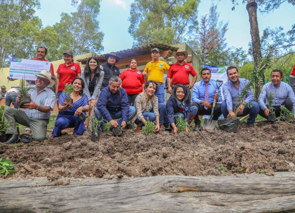 Secretaría del Agua y Medio Ambiente tweet media