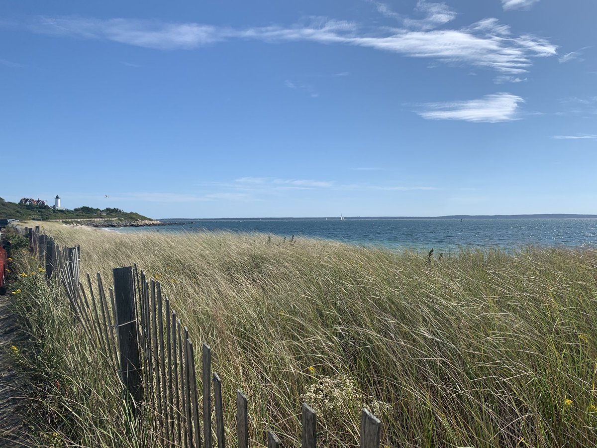 DrKimHarris's tweet photo. The @MCDB_Yale Retreat at @MBLScience was top-notch! Great organizing (and weather ☀️) this year! 😁 https://t.co/B76bXN1uKy