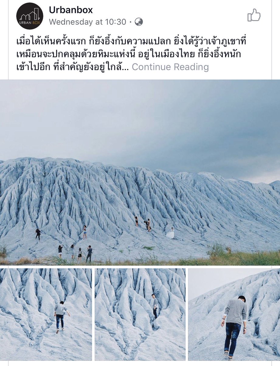 หมีสีฟ้า tweet media