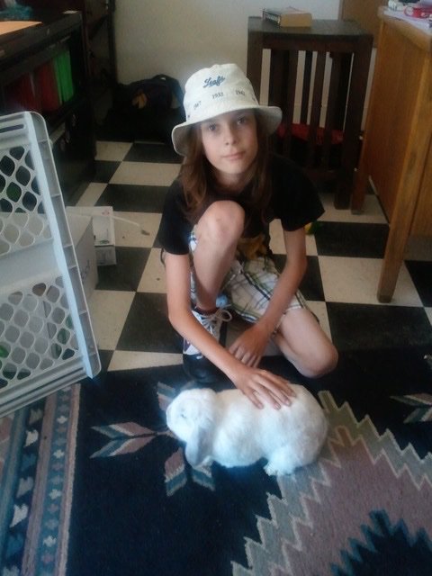 MartinsPets's tweet photo. It's #InternationalRabbitsDay. Are you celebrating your #LittleFriends today? #MartinSmallPet #Bugsy https://t.co/Qjx70tkRzz