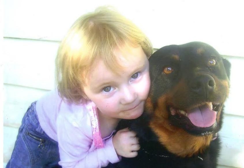safepetsAus's tweet image. She was my girl, my children's first best friend, she was also a victim of DV, she cowered on the couch with me, shook with fear too, cried with me and licked my tears away, she also provided my children with comfort. DV shelters need to accept pets.