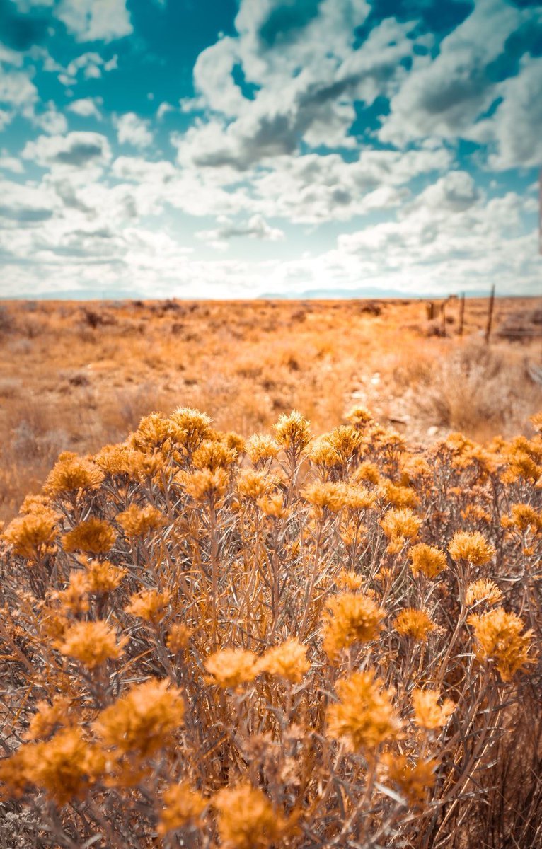 unsplash's tweet photo. Capturing beautiful moments
Feature: @ChippySpeaks
https://t.co/w7R4BzmGS2 https://t.co/20fqZSYfE9
