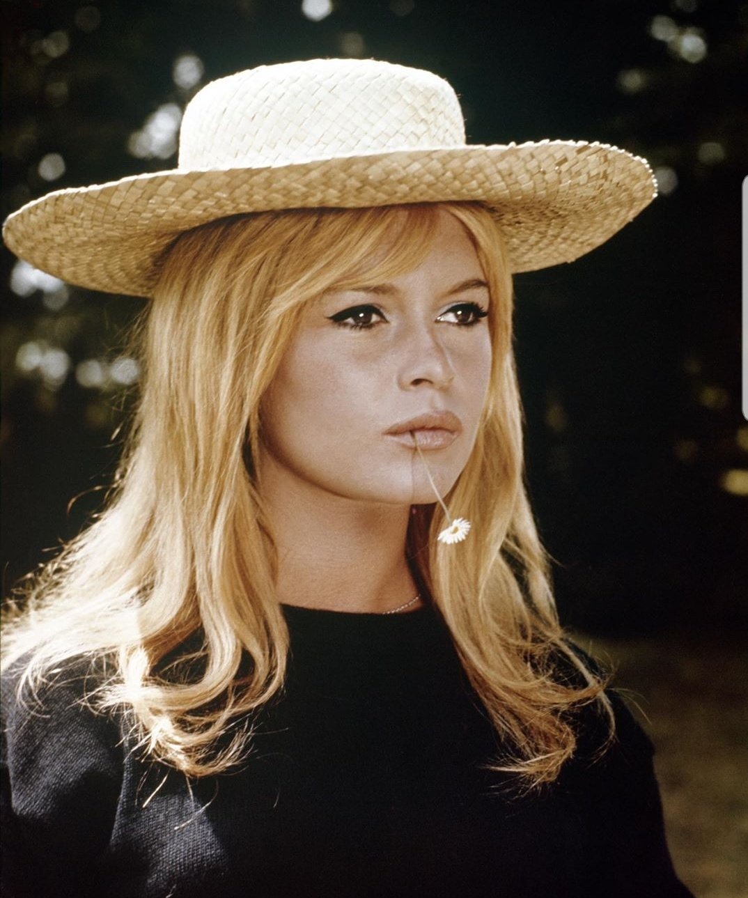 Happy birthday Brigitte Bardot, the most beautiful woman in the world 