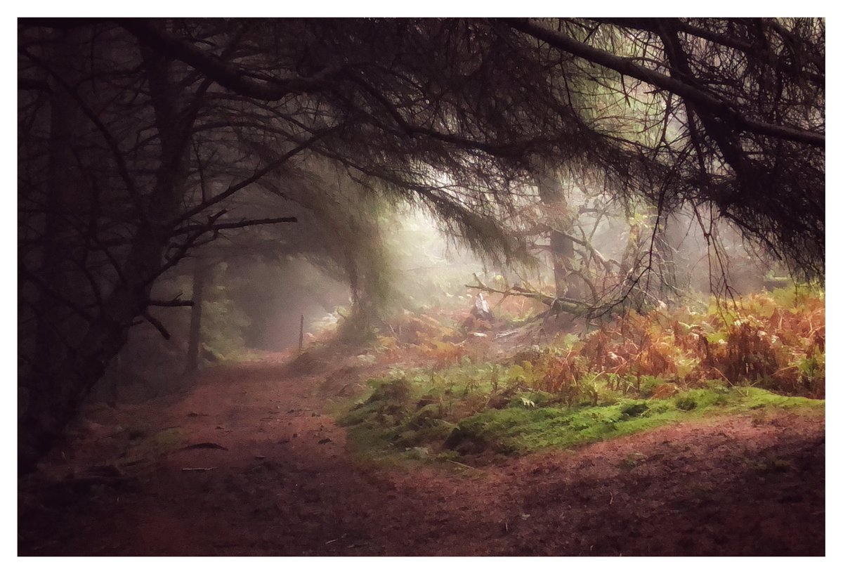 JonD08's tweet photo. Went for walk today with the dogs to a new spot. amazing place &amp; amazing conditions, shame I forgot to take a camera 🤦🏼‍♂️ first time in ages I got excited about taking pictures 😃 https://t.co/XN89whCHH5