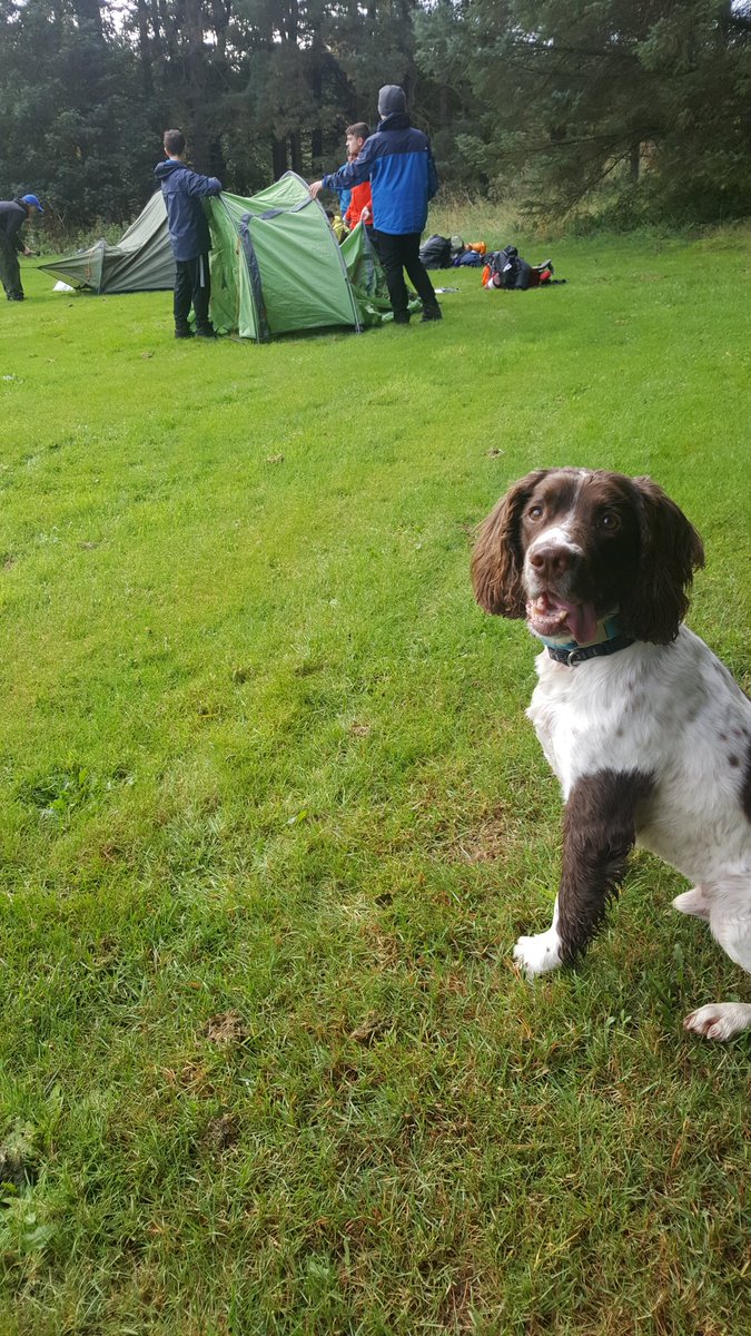 446 (Forres) Sqn tweet media