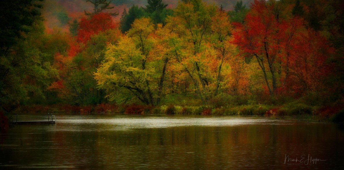 Shareen (@Shareen_S_Rai) | Twitter