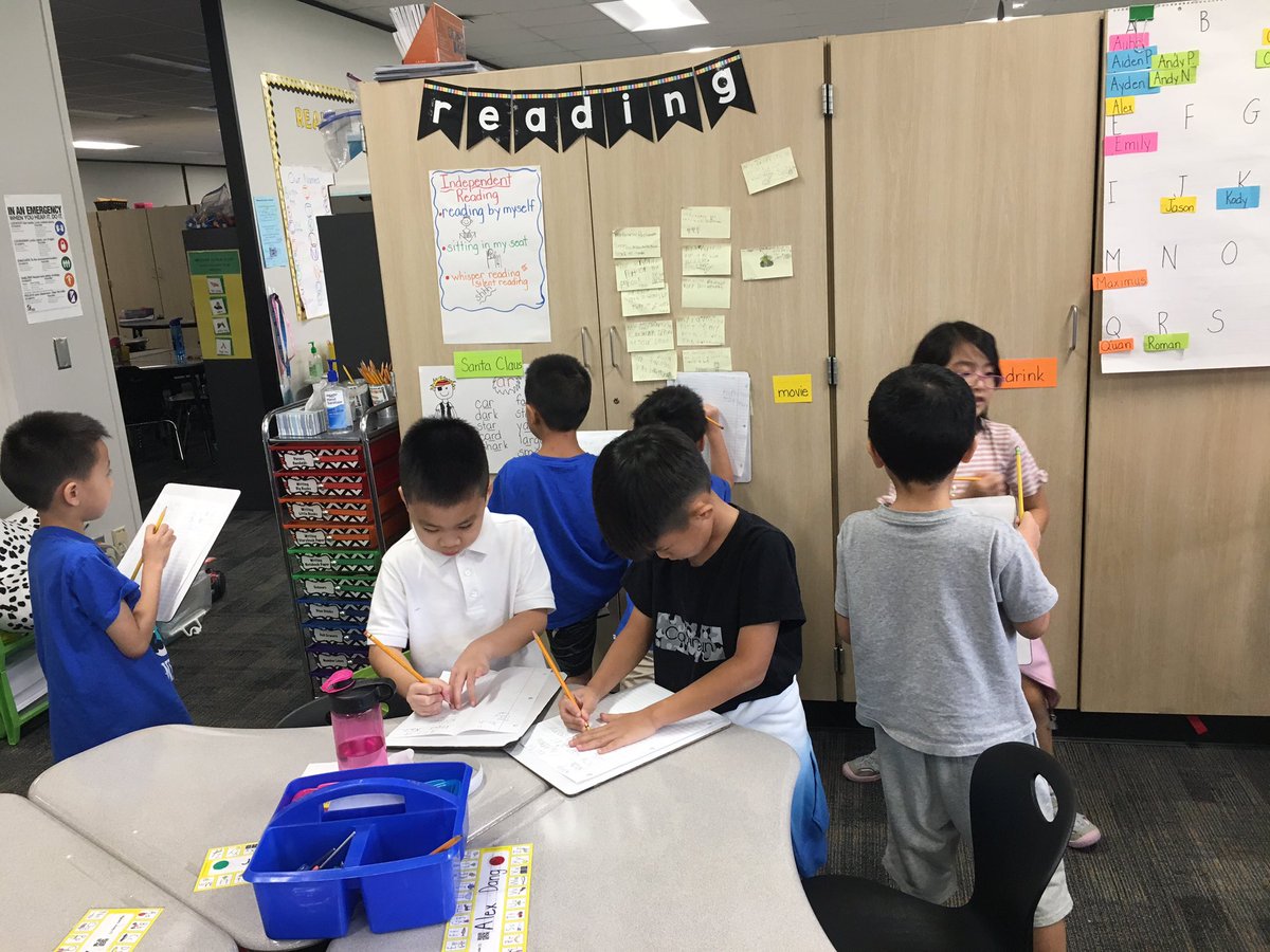 Allison Meyer tweet media