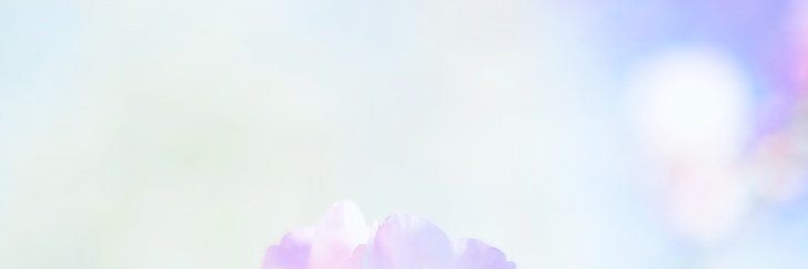 crumble_store's tweet photo. | Gyuri Aesthetic Packs.
_ better follow and fav before save my pict(s), danke! ♡
#aesthetic #layout #aestheticpacks #packs #Gyuri #JangGyuri #fromis_9 #gyuripacks https://t.co/4SUNZvRbPg