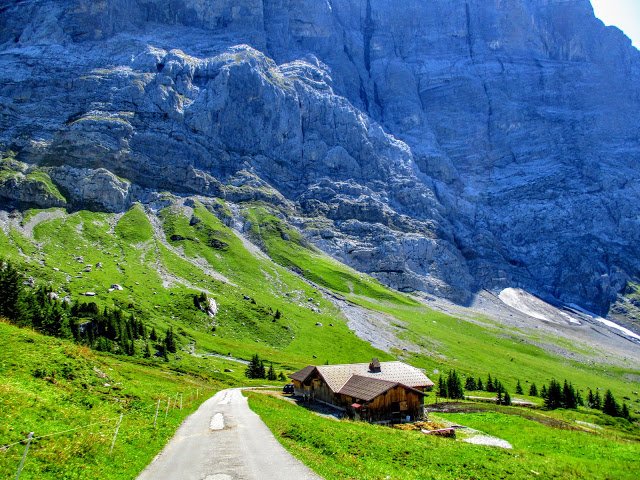 1001puertos's tweet photo. Deleitense, disfruten, admiren, contemplen, recreense, gocen,  diviértanse,... 🚵‍♀️🚵‍♂️🇨🇭✨✨✨✨✨🤪
Grosse Scheidegg desde Interlaken: 30 kms. al 4,7% (casi 1500 m. de desnivel).
https://t.co/ueViGJdIEo https://t.co/VRiFuGo8Te