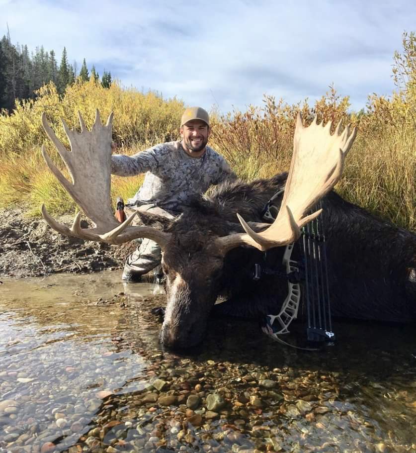 PSEBows's tweet photo. Sam Davis and his #psebows Xpedite made it happen again! Bull moose down at 30 yards in Wyoming. #HuntWithPSE #PSENATION #shootpse #bowhunting https://t.co/PHPRfvpeGp
