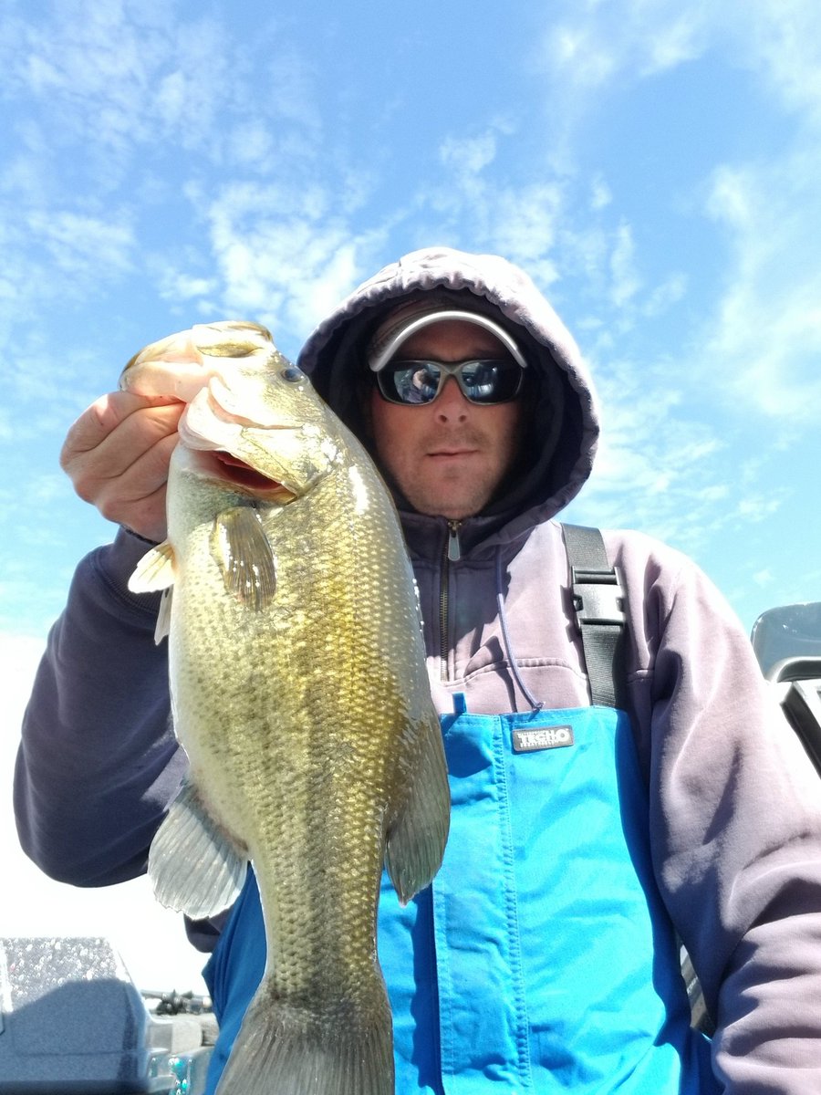 olson_ross's tweet image. A few fall fatties