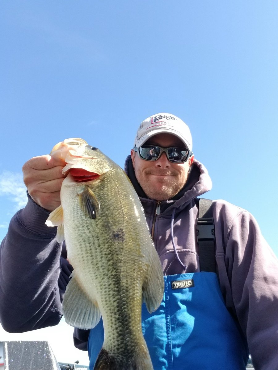 olson_ross's tweet image. A few fall fatties