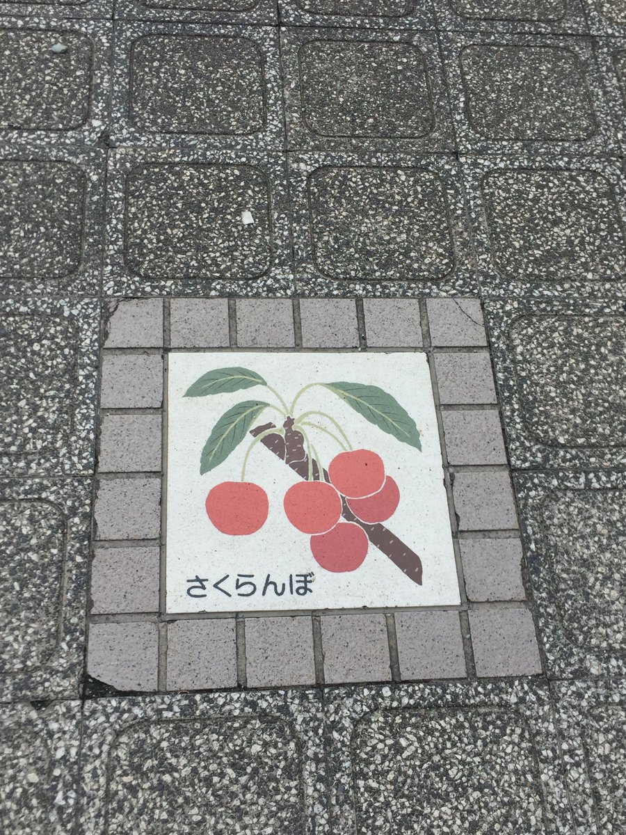 うめリン On Twitter 他にこんな絵柄のタイルありました さくらんぼ だけの絵柄のタイルは 街角テレビの1枚だけのようですね 他のは市の木さくらんぼ ってなっていました レアといえば確認出来たのは1枚だけですが 向きの違う物ありました 市役所近くにある