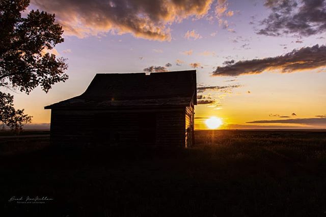 Brad_In_YYC's tweet photo. Always loving the sunsets here in Alberta. Prairie sunsets are some of the best. Especially in the Fall.
#Canon#Canon60D #Sigma #SigmaLenses #Alberta #Canada #CaptureCanada #CaptureAlberta #Barn #PrairiePorn #Prairies #Sunset #Sun #Trees #barnsofinstagram
#sunsetsofinstagra… https://t.co/u0V3AwT8KU