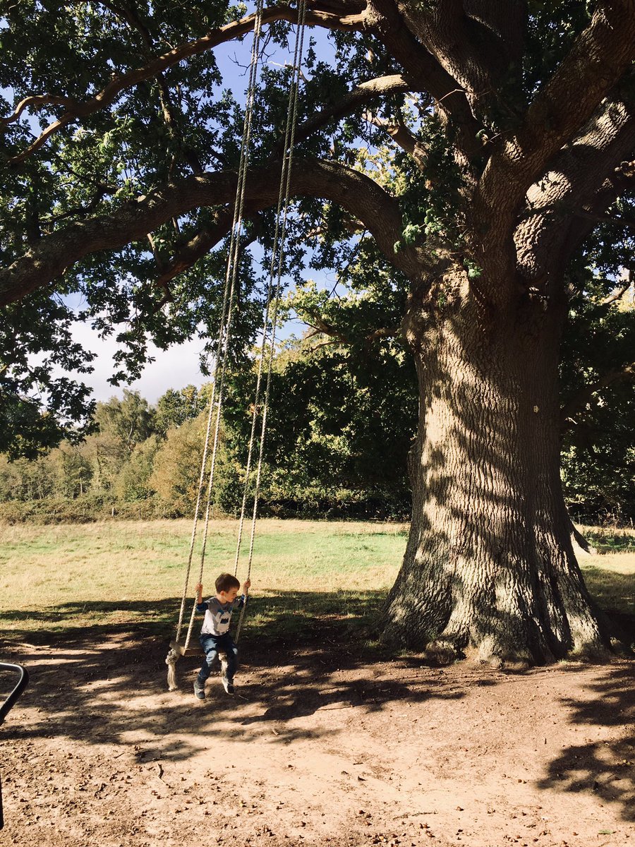 Haycsmith's tweet photo. Stunning place family day out @scotneycastleNT watching the seasons change and little people grow #MakingMemories #Kent #familyfun #firsttimeofmany https://t.co/1A85a5ElUt